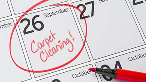 pro carpet cleaning appointment calendar