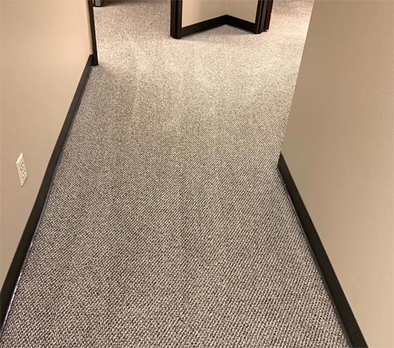Cleaning Carpet in Houston
